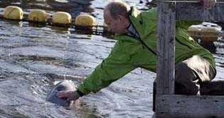 Putin attaches satellite to Beluga 